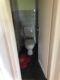 Tolle 3-Zimmer-Wohnung in Bonn Holzlar - Gäste WC