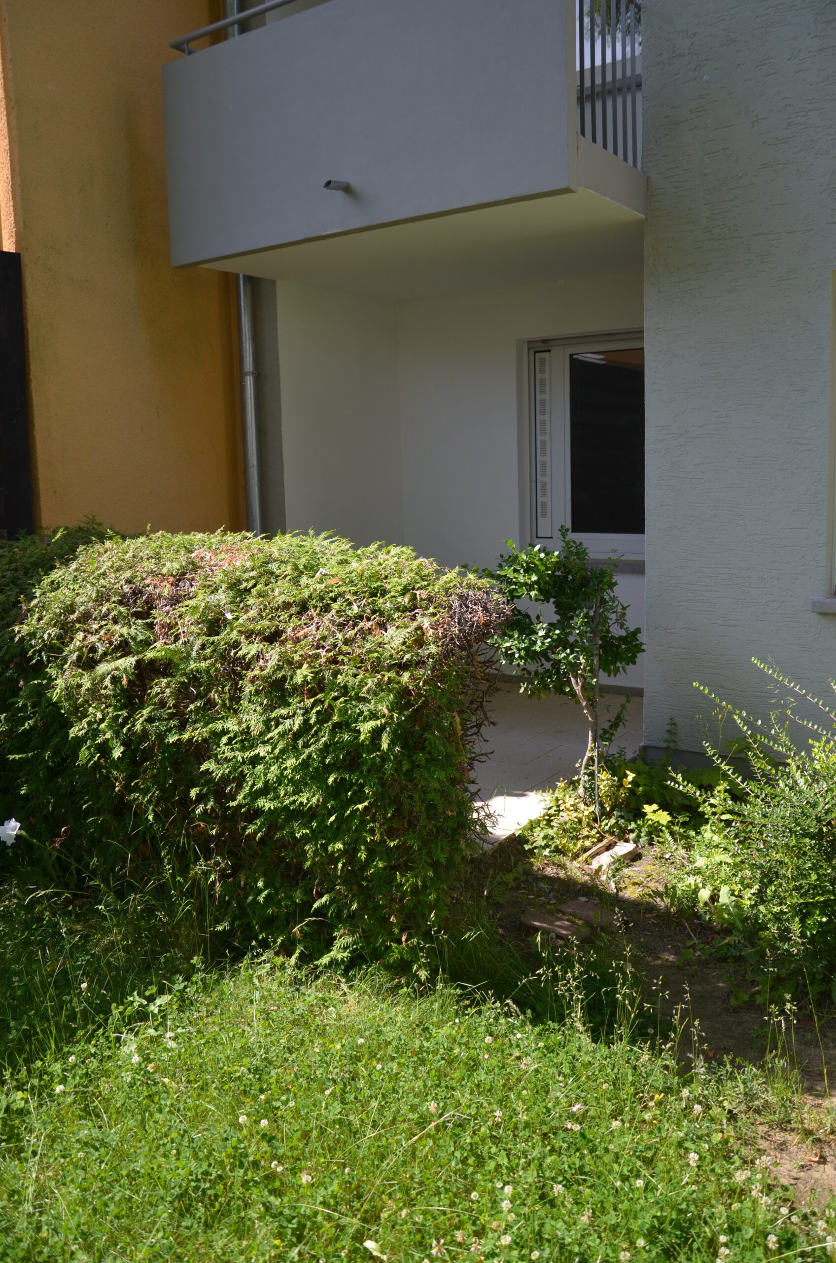 2-Zimmerwohnung mit Renovierungskostenzuschuss, Kiedricher Straße 10, 65345 Eltville am Rhein