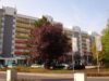 KS-Brückenhof: Gemütliche 2-Zimmer-Wohnung - 51600_42008_Theodor-Haubach-Str. 2+4+6+8_VA2.jpg