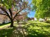 Komplett renovierte 3 Zimmer Wohnung in grüner Lage - Spielplatz Gregorstraße