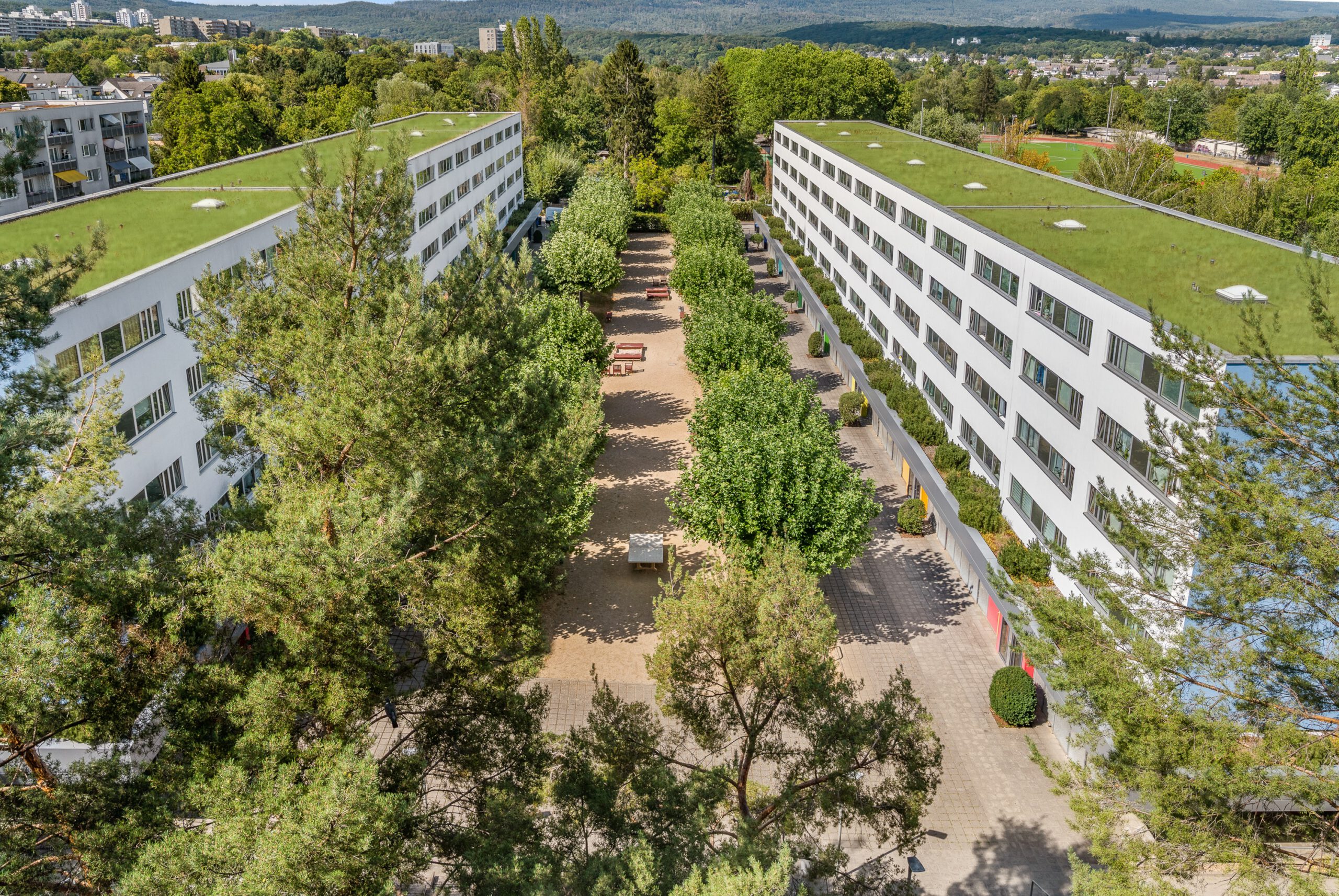 lichtdurchflutete 3-Zimmer Wohnung sucht Mieter mit Wohnberechtigungsschein nach §88d!, Hollerbornstraße 50B, 65197 Wiesbaden