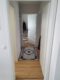 Charmante 3-Zimmer-Wohnung in Mannheim - IMG-20230731-WA0041.jpg