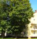 Nachmieter für tolle 2-Zimmer-Wohnung gesucht! - Grünfläche / Gebäude