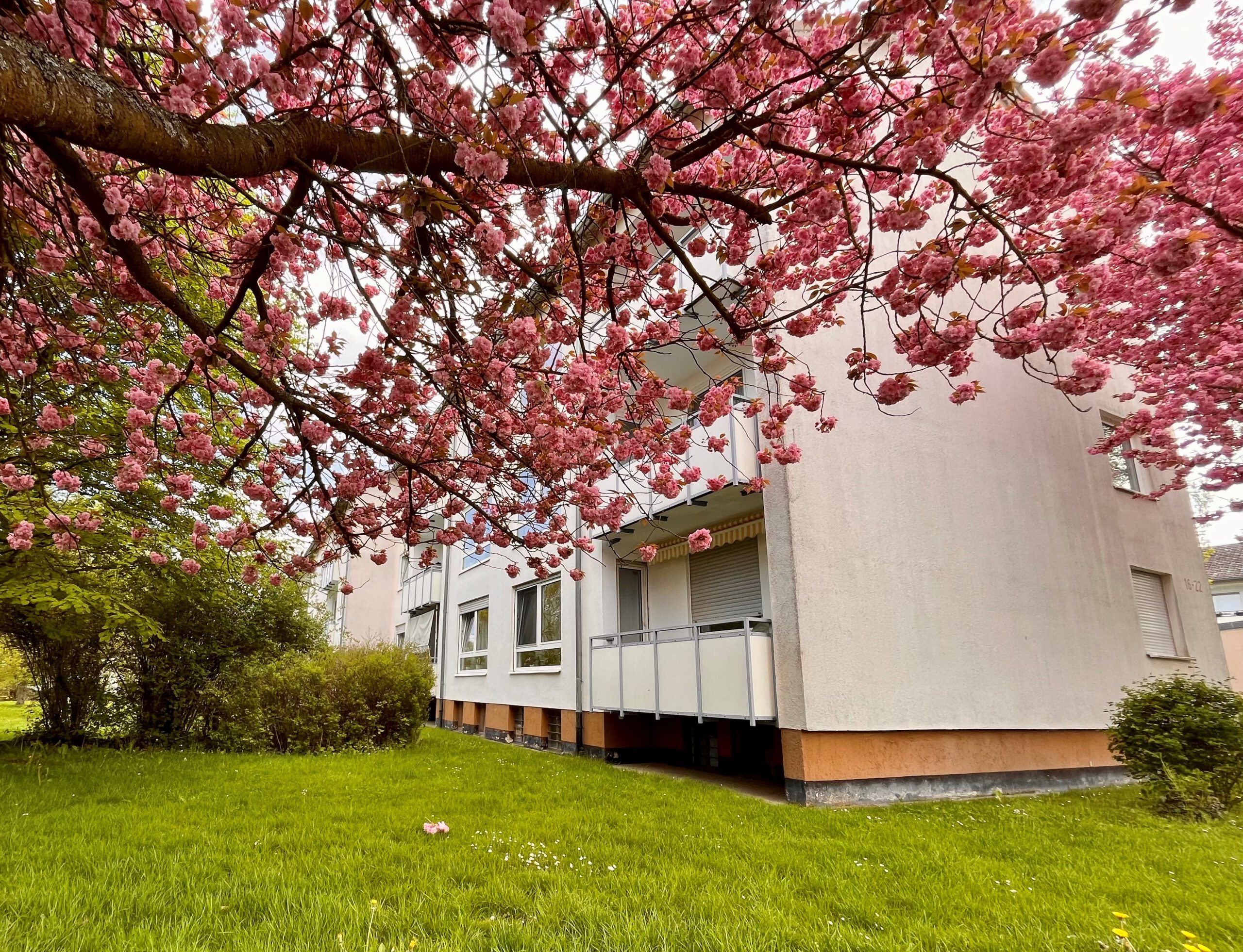 Renovierte 4 Zimmer Wohnung in ruhiger, zentraler Lage von Korbach, Berliner Straße 20, 34497 Korbach