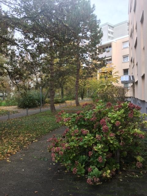 3-Zimmer Wohnung sucht Sie!, Auf der Vogelstang 35, 68309 Mannheim